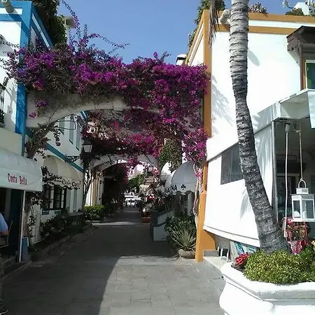 Francesca's